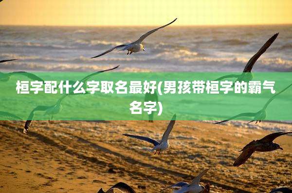 桓字配什么字取名最好(男孩带桓字的霸气名字)