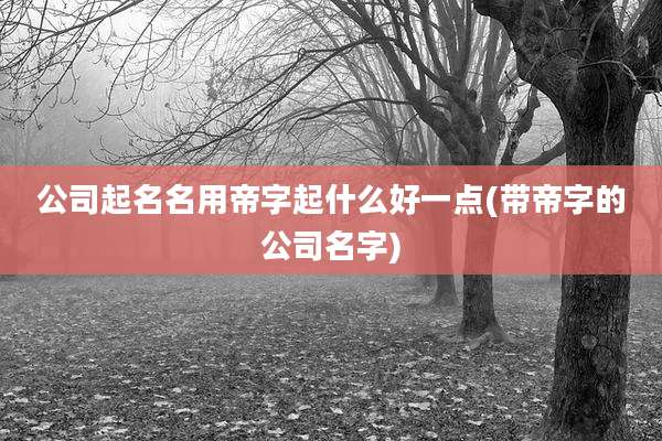 公司起名名用帝字起什么好一点(带帝字的公司名字)