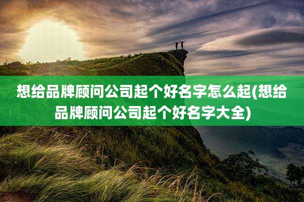 想给品牌顾问公司起个好名字怎么起(想给品牌顾问公司起个好名字大全)