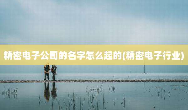 精密电子公司的名字怎么起的(精密电子行业)
