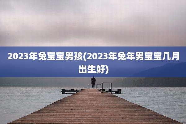 2023年兔宝宝男孩(2023年兔年男宝宝几月出生好)
