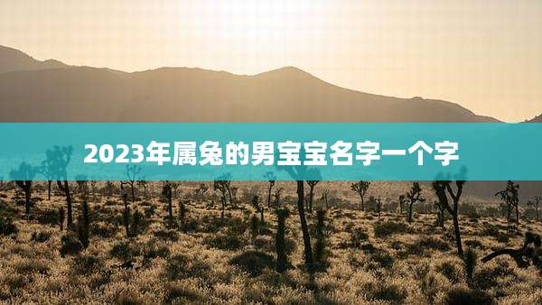 2023年属兔的男宝宝名字一个字