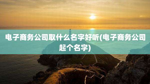 电子商务公司取什么名字好听(电子商务公司起个名字)