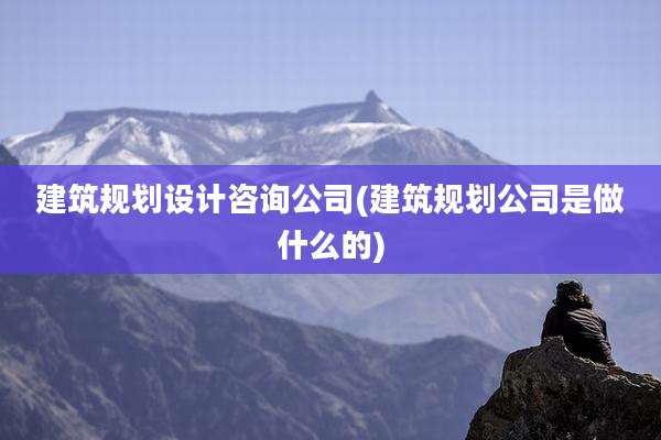 建筑规划设计咨询公司(建筑规划公司是做什么的)