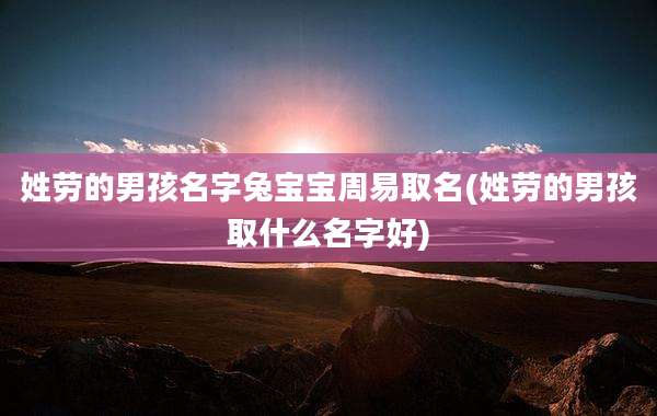 姓劳的男孩名字兔宝宝周易取名(姓劳的男孩取什么名字好)