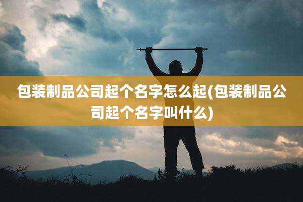 包装制品公司起个名字怎么起(包装制品公司起个名字叫什么)