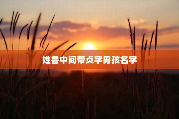 姓鲁中间带贞字男孩名字