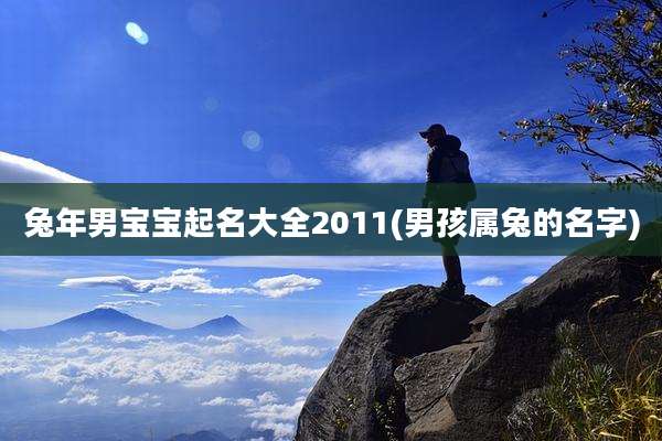 兔年男宝宝起名大全2011(男孩属兔的名字)