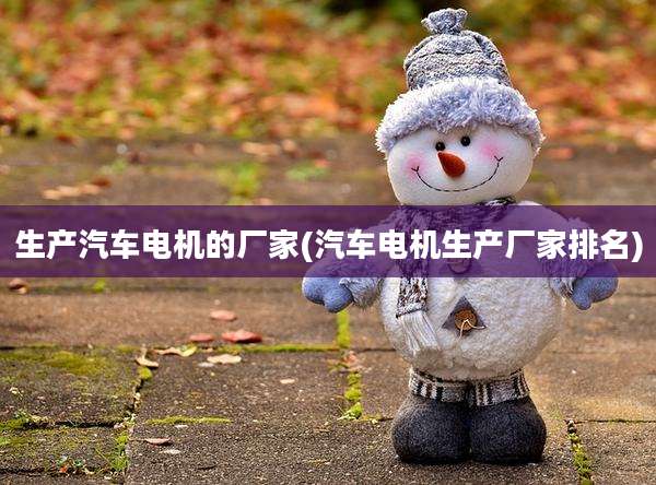 生产汽车电机的厂家(汽车电机生产厂家排名)