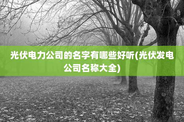 光伏电力公司的名字有哪些好听(光伏发电公司名称大全)