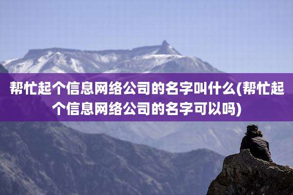 帮忙起个信息网络公司的名字叫什么(帮忙起个信息网络公司的名字可以吗)