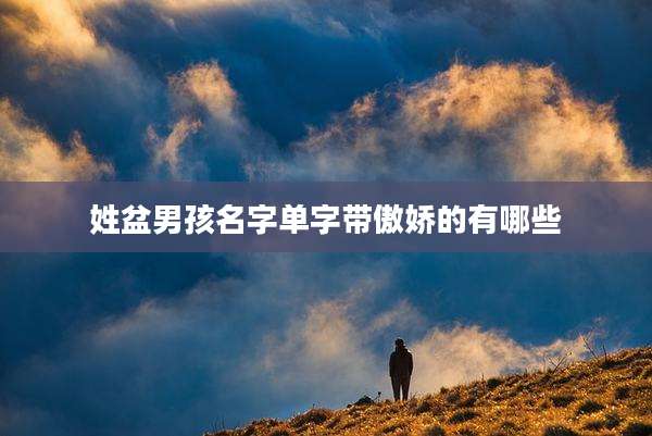 姓盆男孩名字单字带傲娇的有哪些
