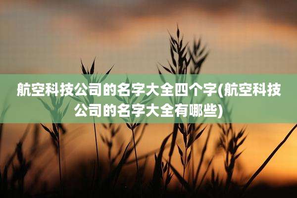 航空科技公司的名字大全四个字(航空科技公司的名字大全有哪些)