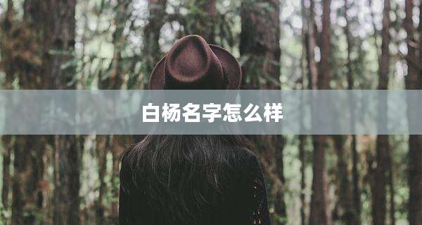 白杨名字怎么样