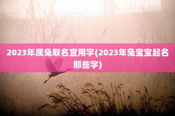 2023年属兔取名宜用字(2023年兔宝宝起名那些字)