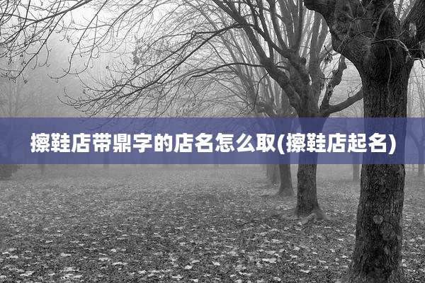 擦鞋店带鼎字的店名怎么取(擦鞋店起名)