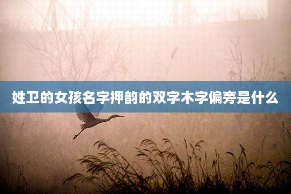 姓卫的女孩名字押韵的双字木字偏旁是什么