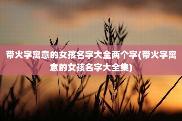带火字寓意的女孩名字大全两个字(带火字寓意的女孩名字大全集)
