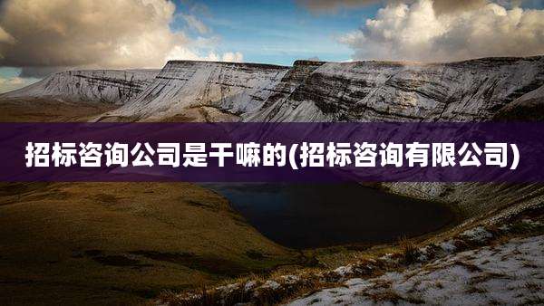 招标咨询公司是干嘛的(招标咨询有限公司)