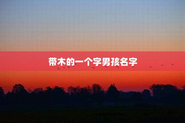 带木的一个字男孩名字