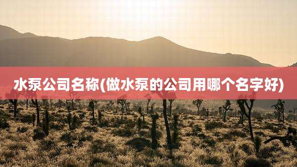 水泵公司名称(做水泵的公司用哪个名字好)