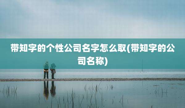 带知字的个性公司名字怎么取(带知字的公司名称)