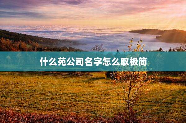 什么苑公司名字怎么取极简