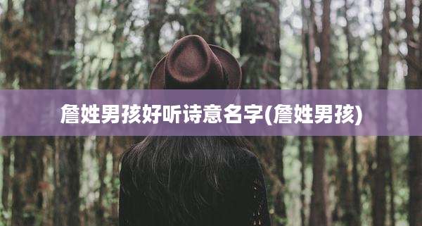 詹姓男孩好听诗意名字(詹姓男孩)