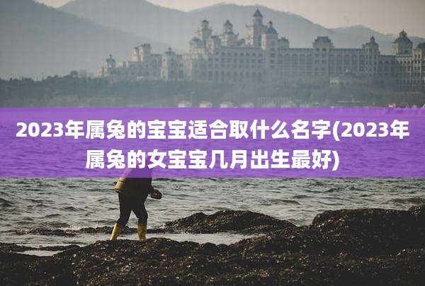2023年属兔的宝宝适合取什么名字(2023年属兔的女宝宝几月出生最好)