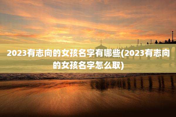 2023有志向的女孩名字有哪些(2023有志向的女孩名字怎么取)