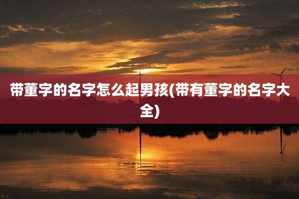 带董字的名字怎么起男孩(带有董字的名字大全)