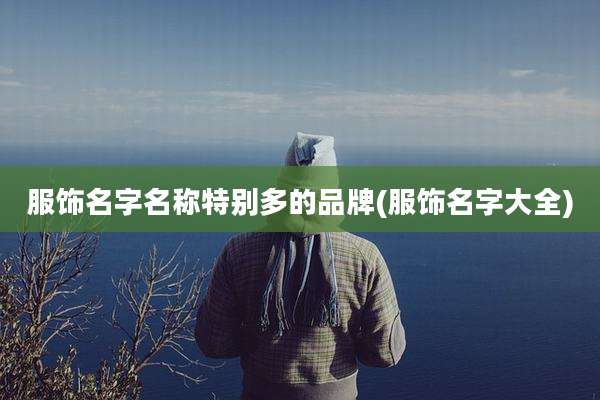 服饰名字名称特别多的品牌(服饰名字大全)