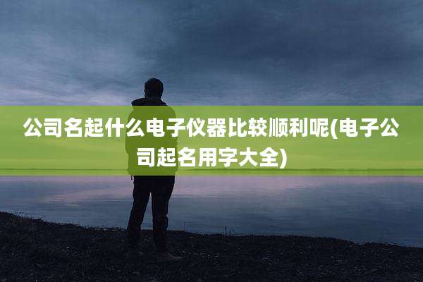 公司名起什么电子仪器比较顺利呢(电子公司起名用字大全)