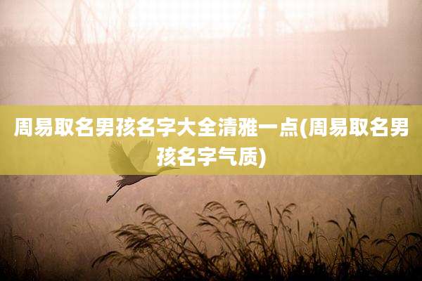 周易取名男孩名字大全清雅一点(周易取名男孩名字气质)