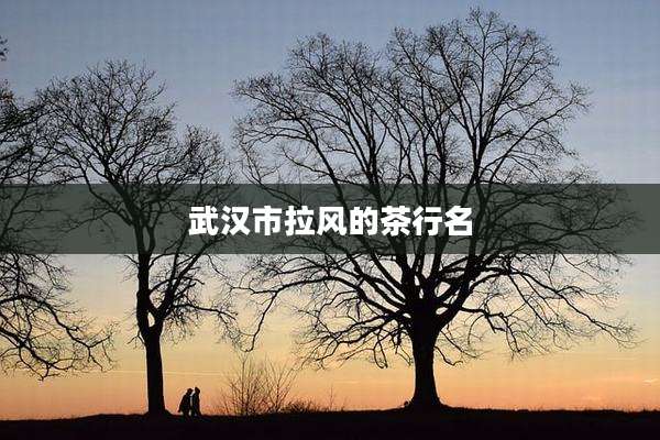 武汉市拉风的茶行名