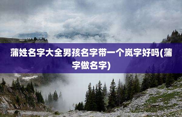 蒲姓名字大全男孩名字带一个岚字好吗(蒲字做名字)