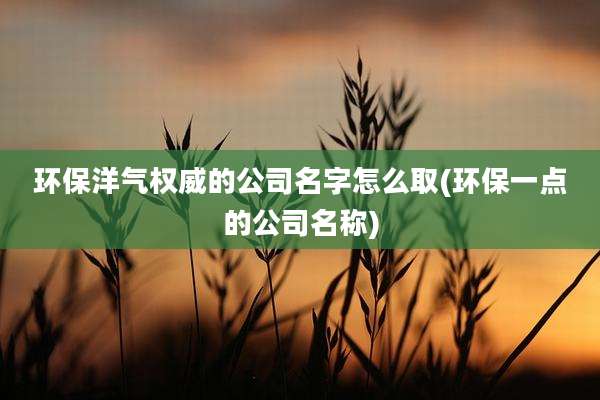 环保洋气权威的公司名字怎么取(环保一点的公司名称)