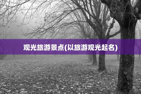 观光旅游景点(以旅游观光起名)
