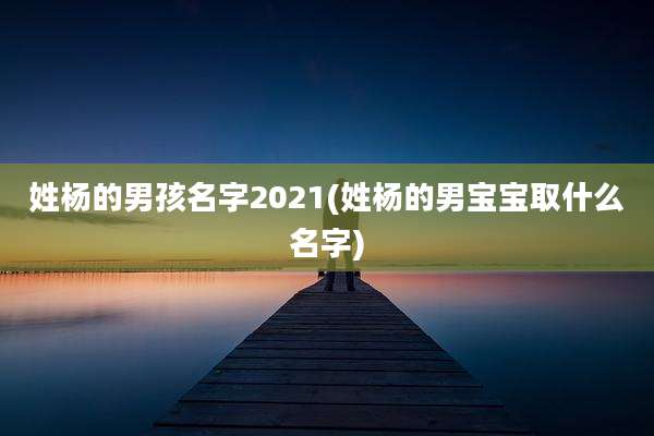 姓杨的男孩名字2021(姓杨的男宝宝取什么名字)