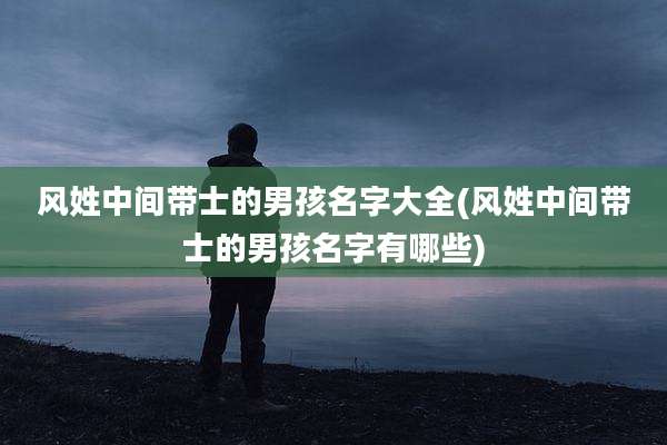 风姓中间带士的男孩名字大全(风姓中间带士的男孩名字有哪些)