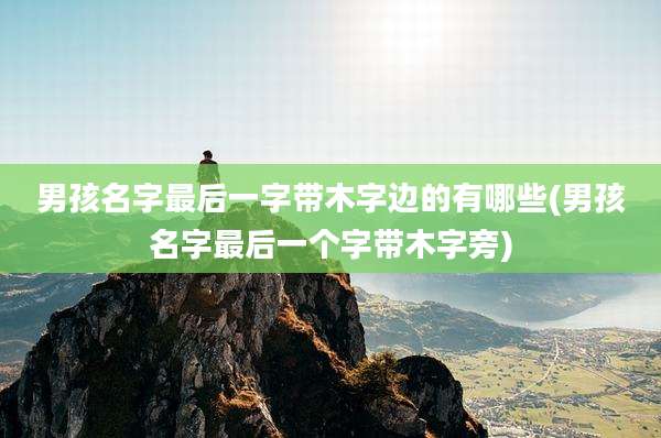 男孩名字最后一字带木字边的有哪些(男孩名字最后一个字带木字旁)