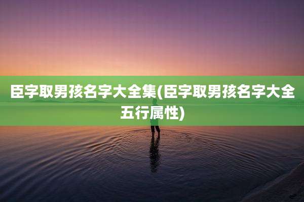 臣字取男孩名字大全集(臣字取男孩名字大全五行属性)