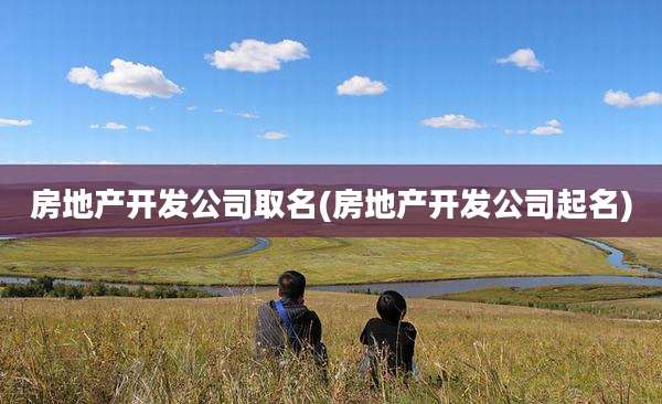 房地产开发公司取名(房地产开发公司起名)
