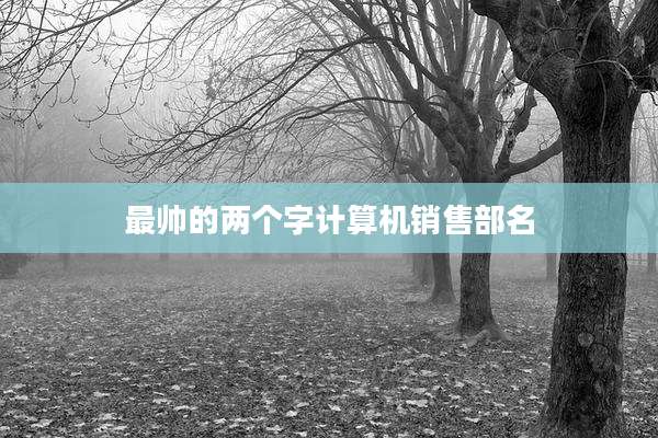 最帅的两个字计算机销售部名