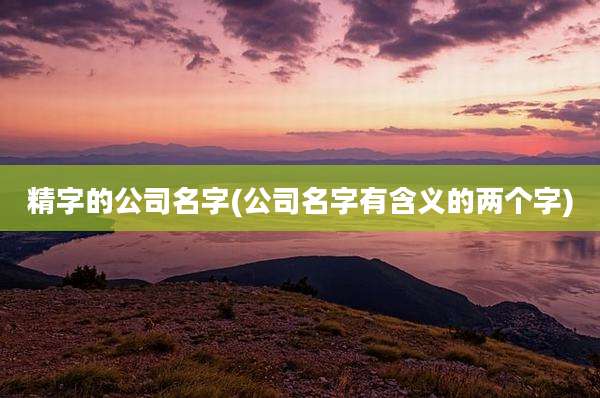 精字的公司名字(公司名字有含义的两个字)