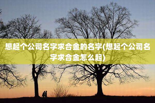 想起个公司名字求合金的名字(想起个公司名字求合金怎么起)