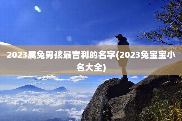 2023属兔男孩最吉利的名字(2023兔宝宝小名大全)
