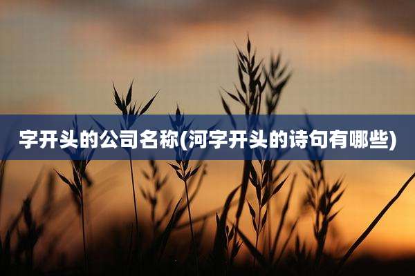 字开头的公司名称(河字开头的诗句有哪些)
