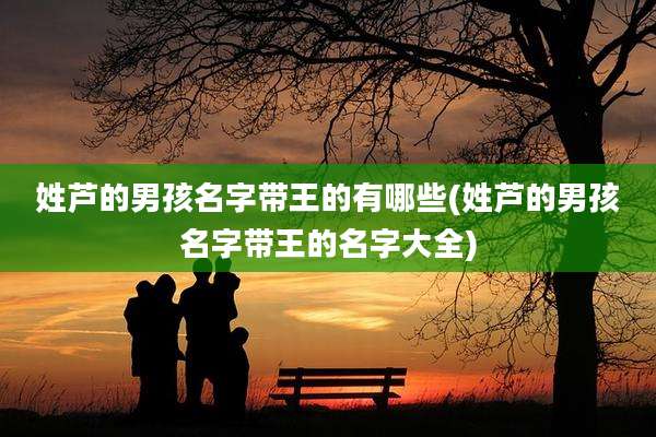 姓芦的男孩名字带王的有哪些(姓芦的男孩名字带王的名字大全)