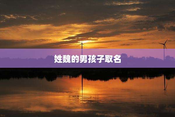 姓魏的男孩子取名